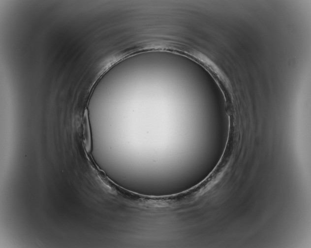 X0000085780993200703301421