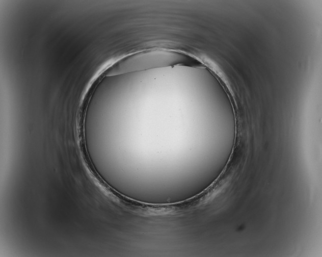 X0000085780997200703301421