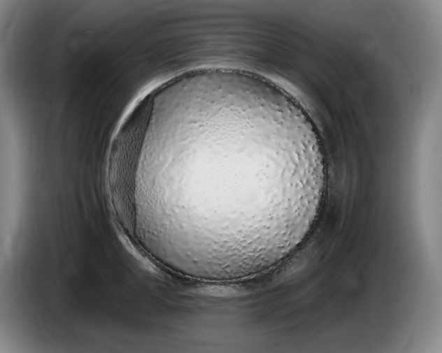 X0000085780998200703301421