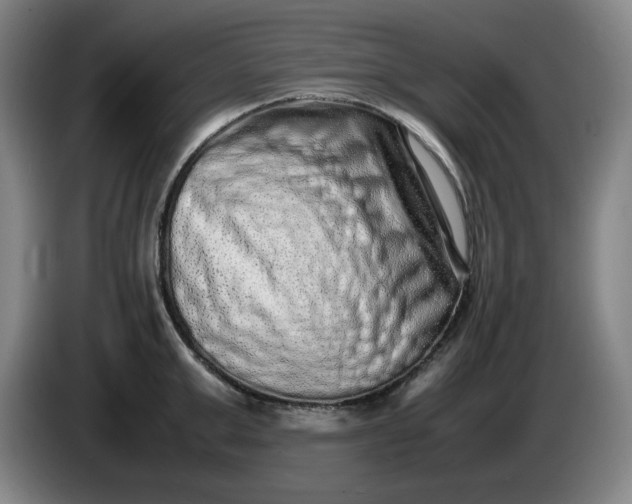 X0000085780999200703301421