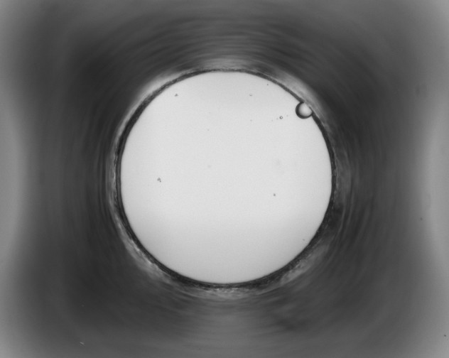 X0000085781000200703301421