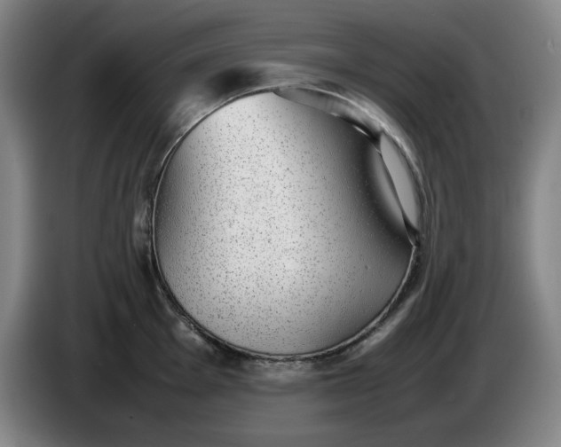 X0000085781001200703301421