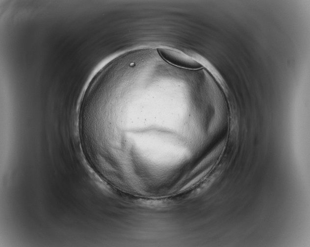 X0000085781004200703301421