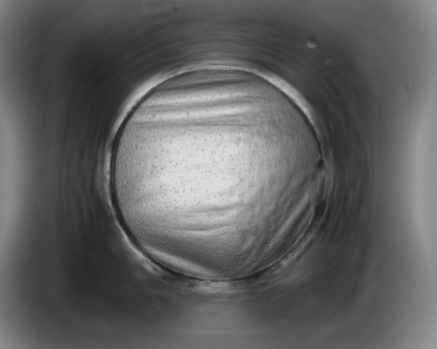 X0000085781006200703301421