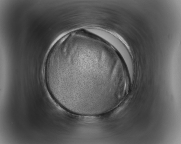 X0000085781007200703301421