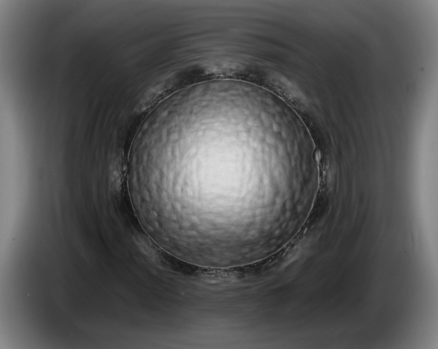 X0000085781012200703301420