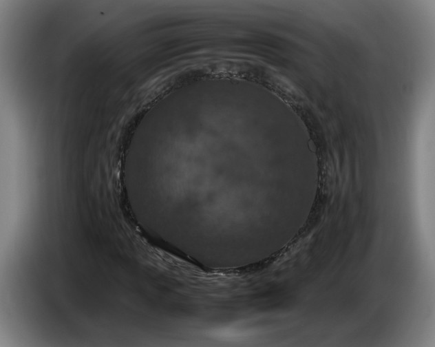 X0000085781013200703301420