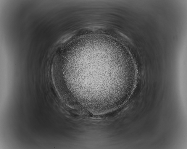 X0000085781014200703301420