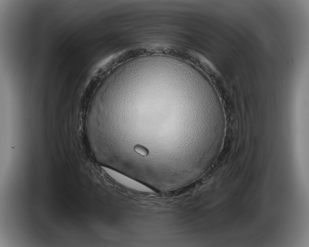 X0000085781016200703301420