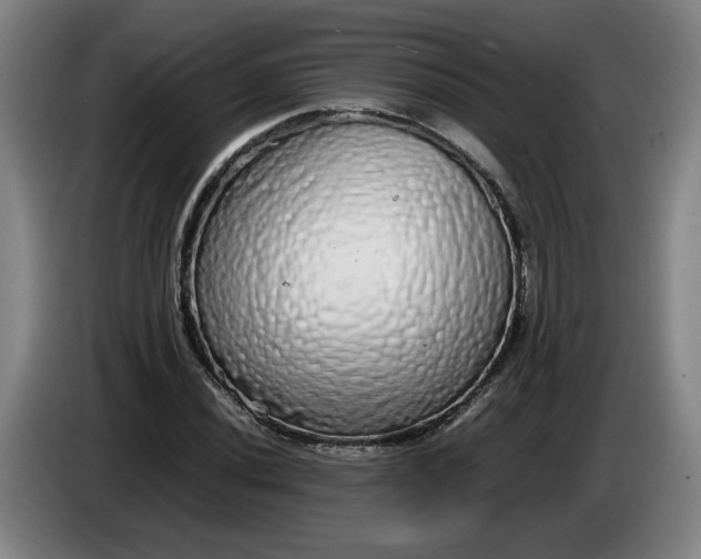 X0000085781020200703301420