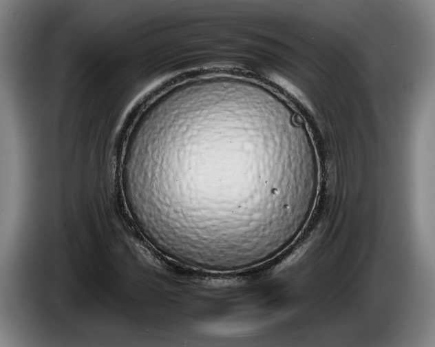 X0000085781021200703301420