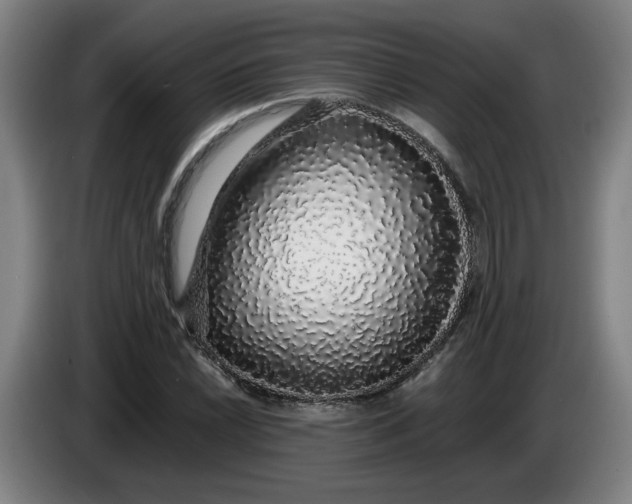 X0000085781022200703301420