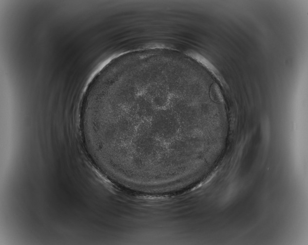 X0000085781023200703301420