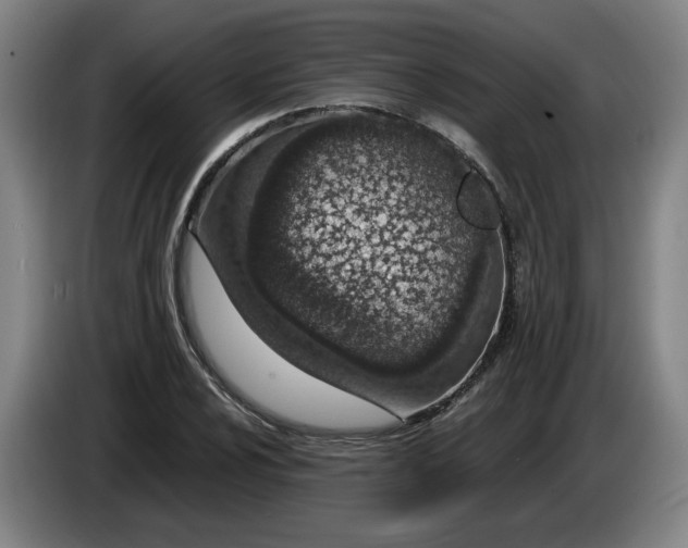 X0000085781024200703301420