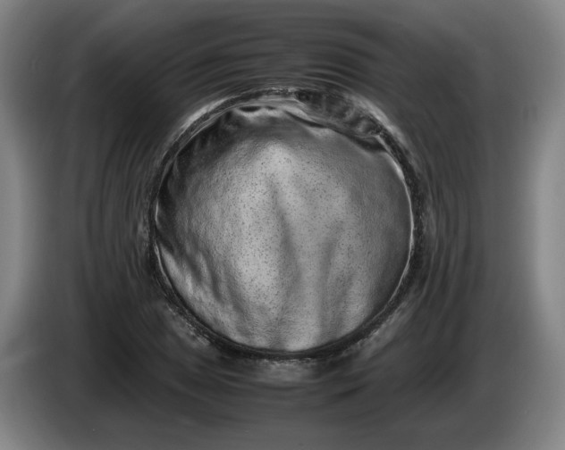 X0000085781025200703301421