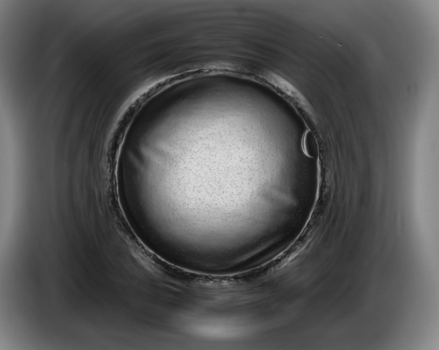 X0000085781027200703301421