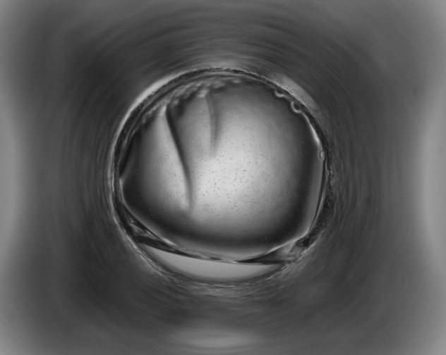 X0000085781028200703301421