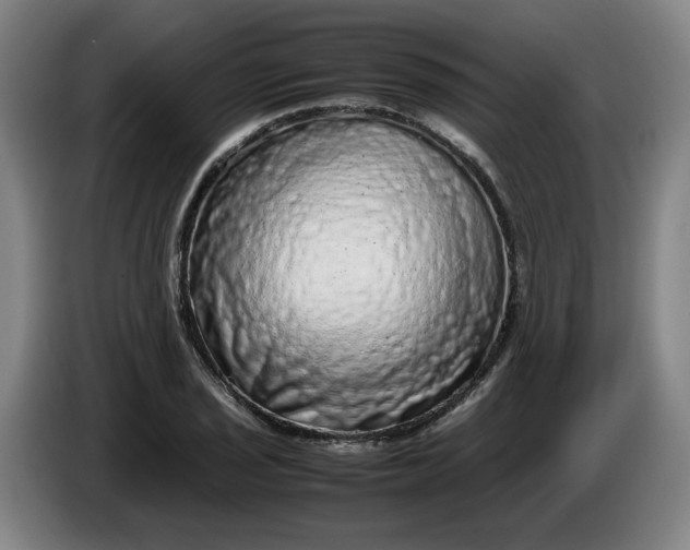 X0000085781029200703301421