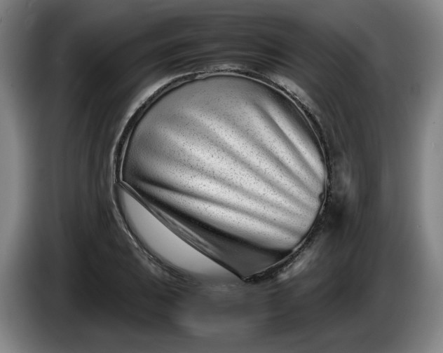 X0000085781031200703301421