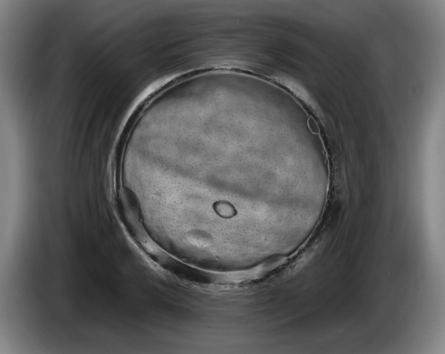 X0000085781032200703301421