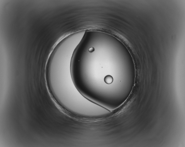 X0000085781034200703301421