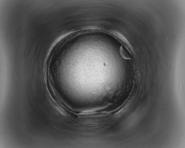 X0000085781035200703301421