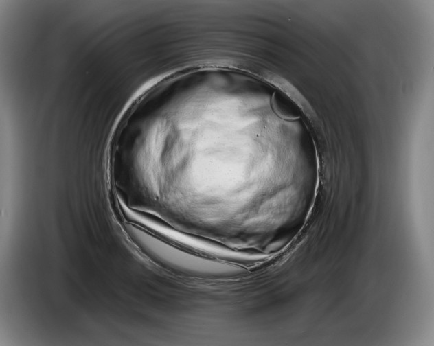 X0000085781036200703301421