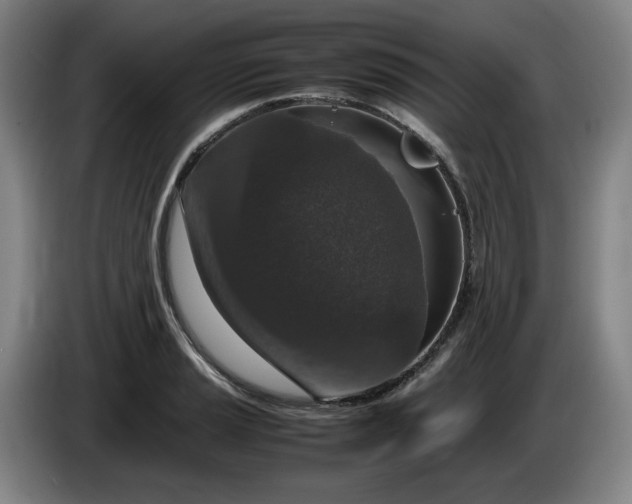 X0000085781037200703301421