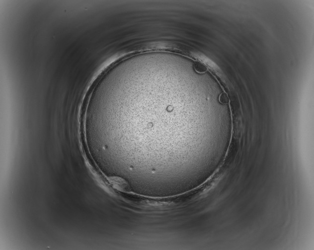 X0000085781039200703301421