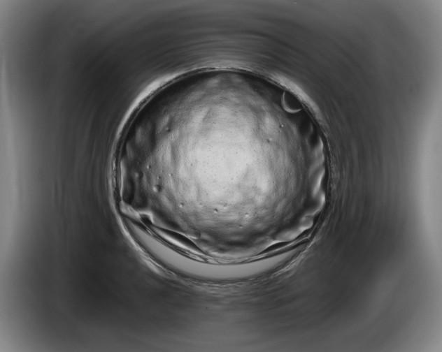 X0000085781040200703301421