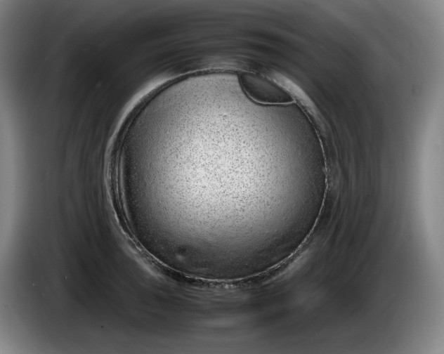 X0000085781043200703301421