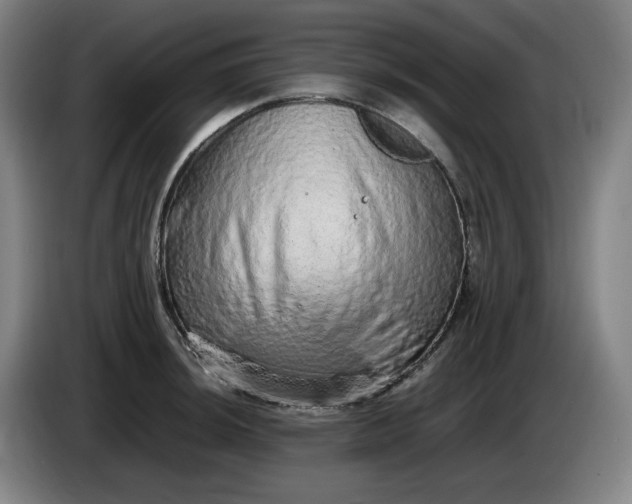 X0000085781044200703301421