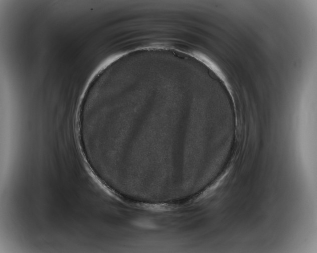 X0000085781045200703301421