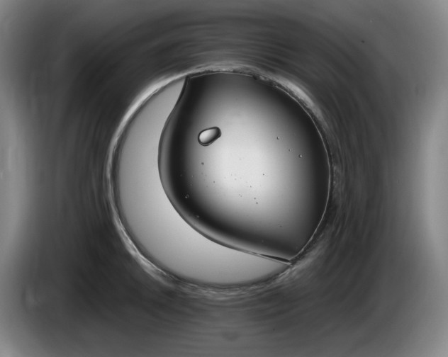 X0000085781046200703301421