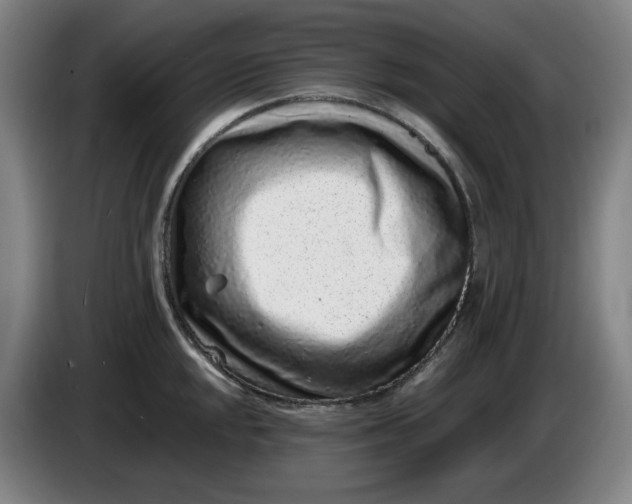 X0000085781048200703301421