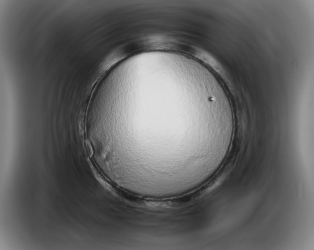 X0000085781049200703301421