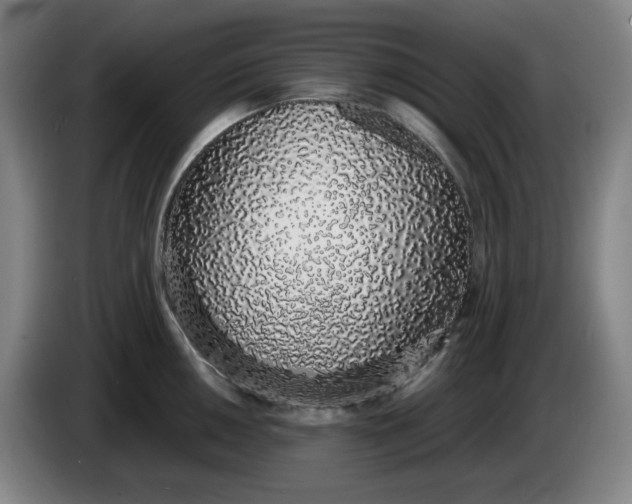 X0000085781050200703301421