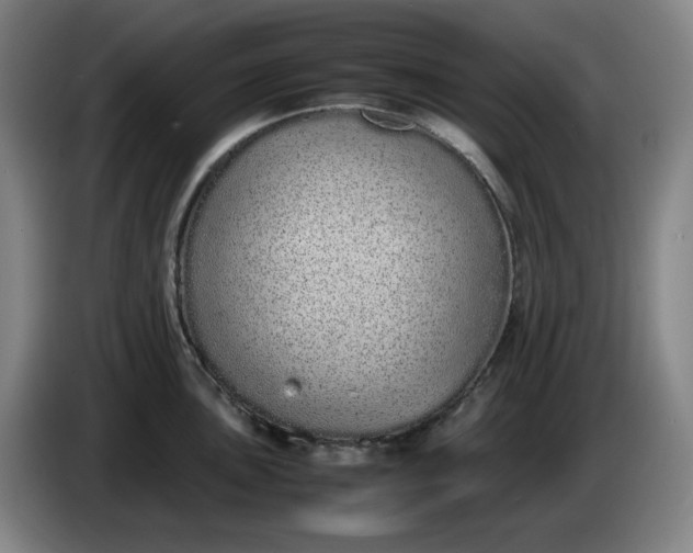 X0000085781051200703301421