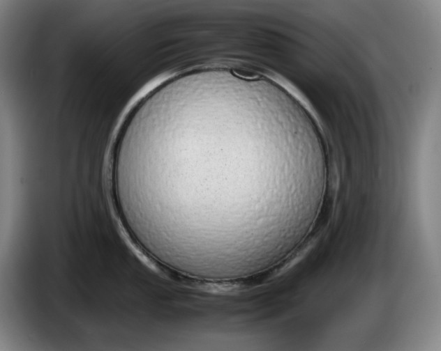 X0000085781053200703301421