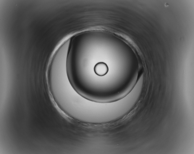 X0000085781054200703301421