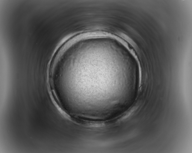 X0000085781055200703301421