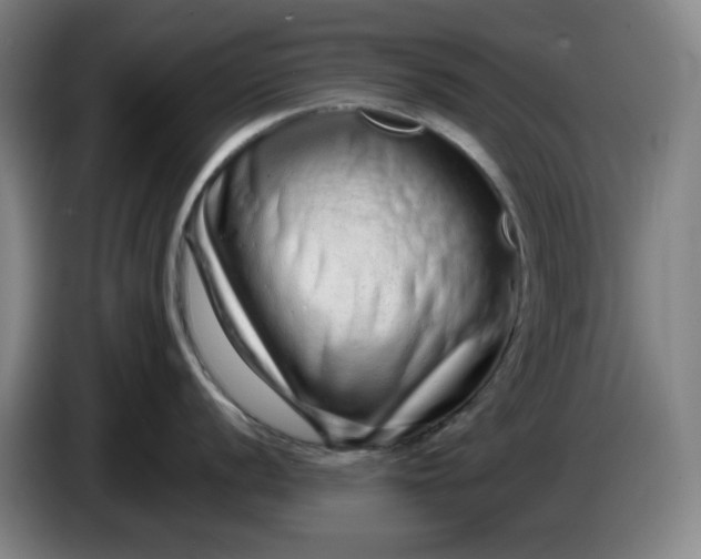 X0000085781056200703301421