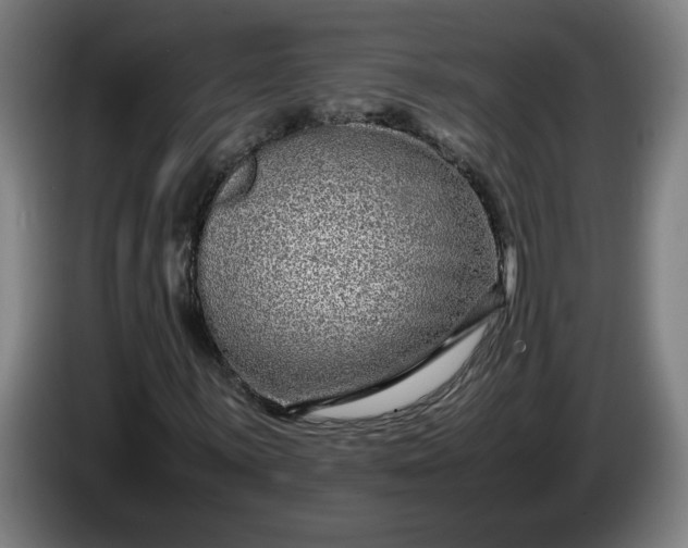 X0000085781059200703301420