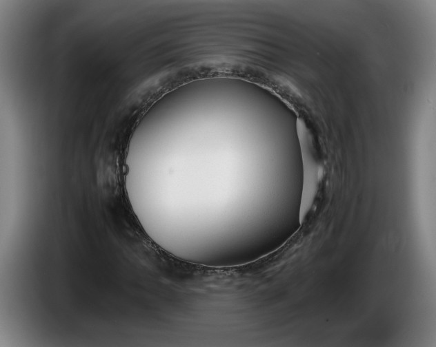 X0000085781062200703301420