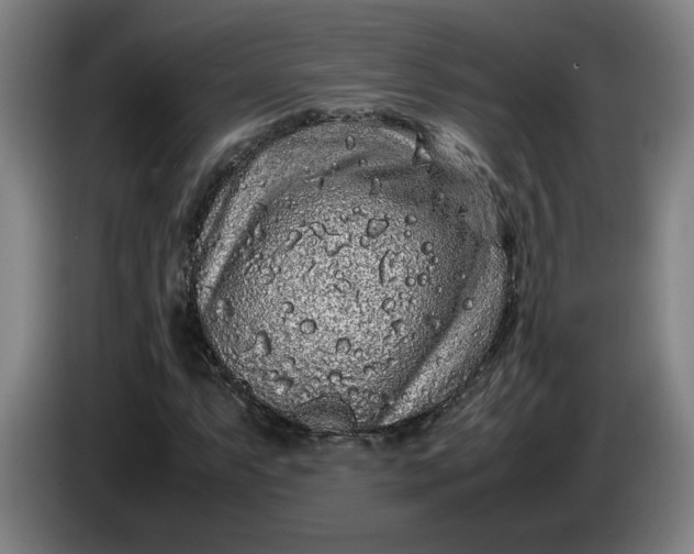 X0000085781063200703301420