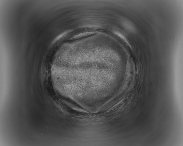 X0000085781064200703301420