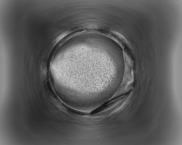 X0000085781065200703301420