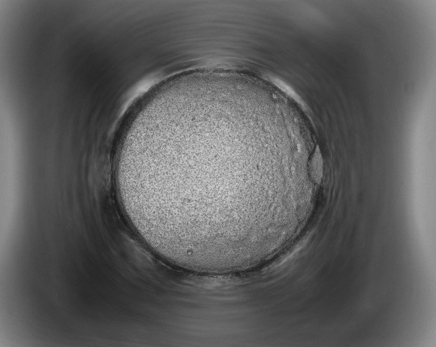 X0000085781067200703301420