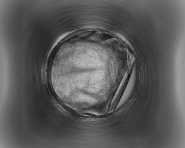 X0000085781068200703301420