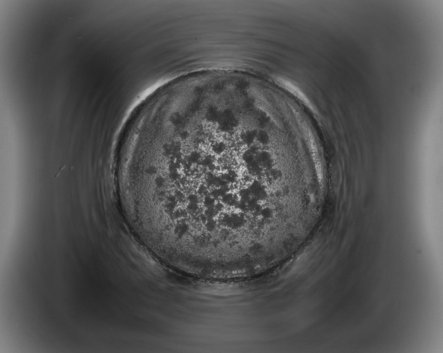 X0000085781071200703301420